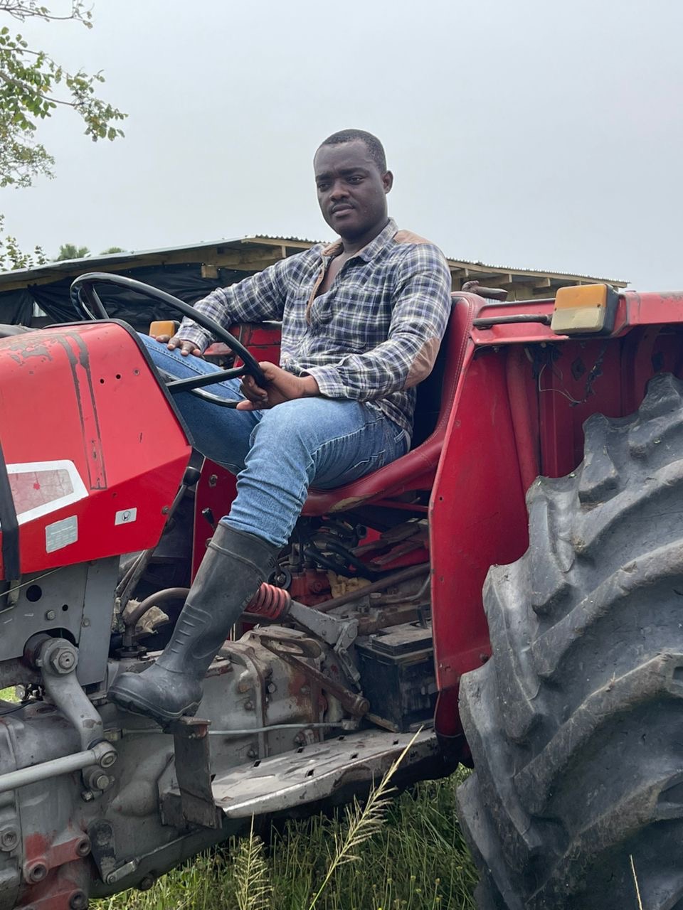 Farmer working in greenhouse