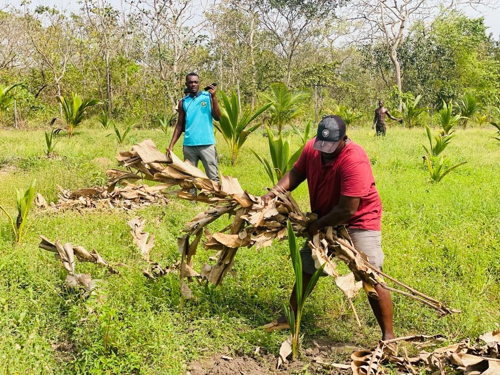 IT Manager Moses Owusu Ansah