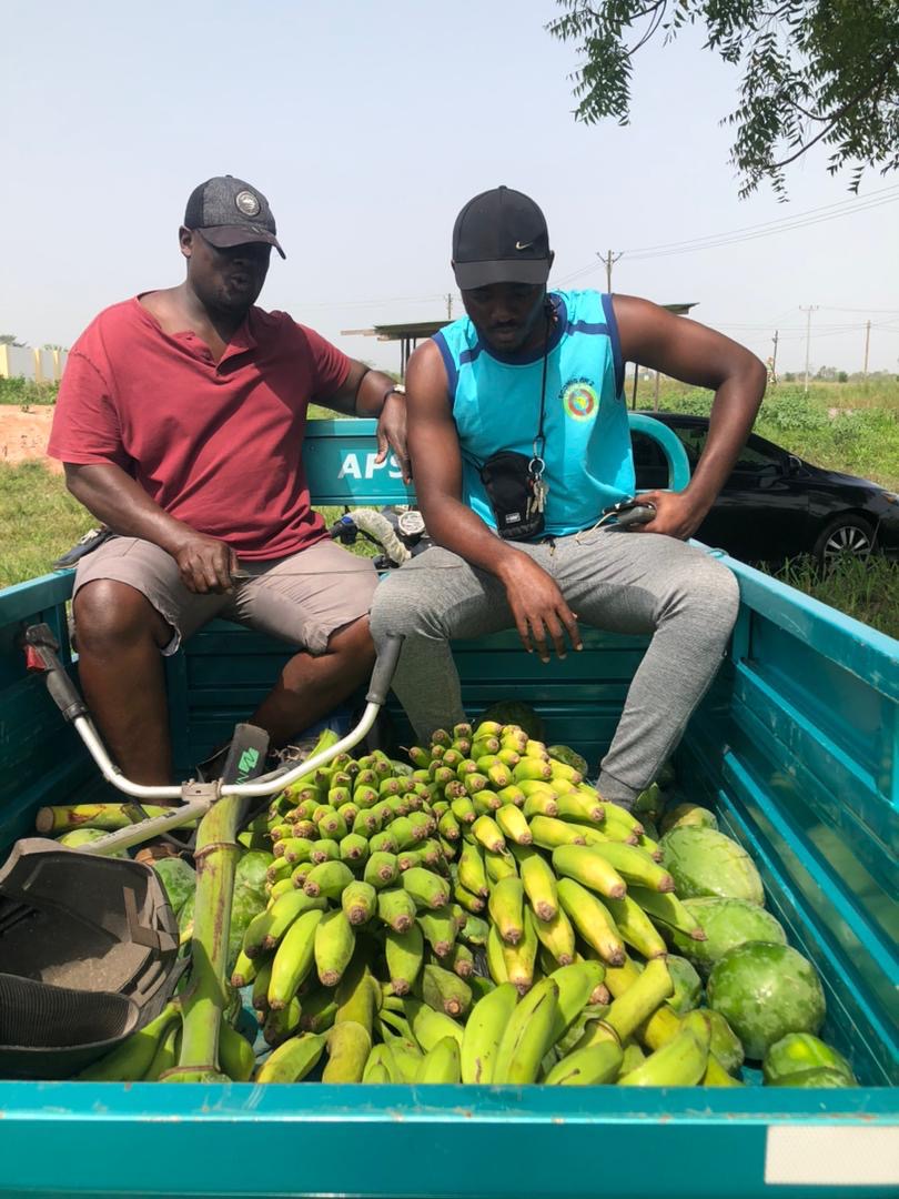 Farmers working in the field